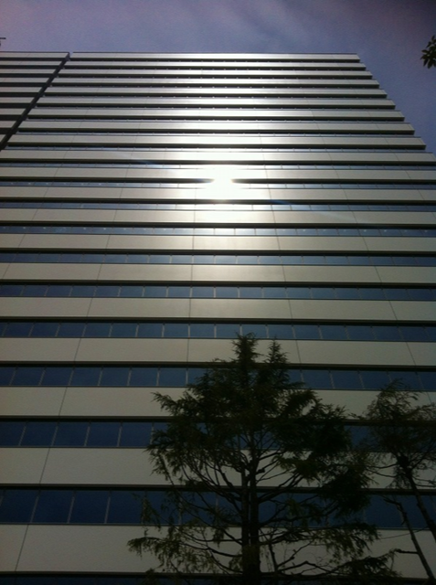 Curtain wall project in Japan